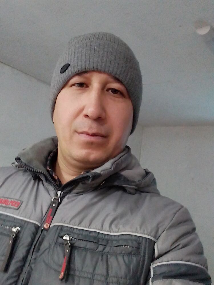  31355679  , 40 ,    