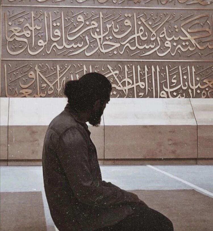 ���� 28901589 ������� ZAYD, 26 ���, ���� ���������� � �������