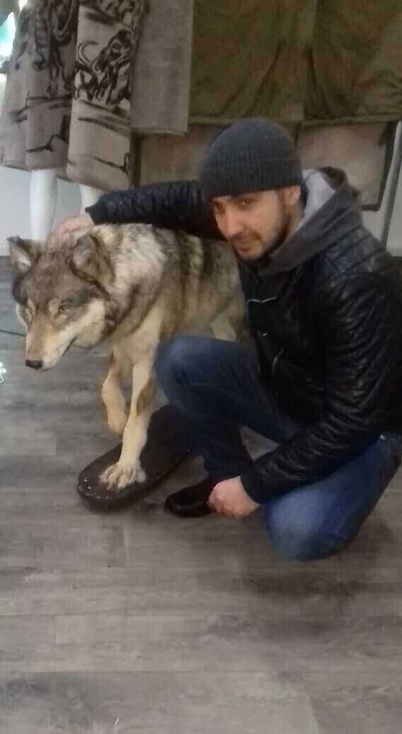 ���� 24957799 ������� ����, 39 ���, ���� ���������� � ������