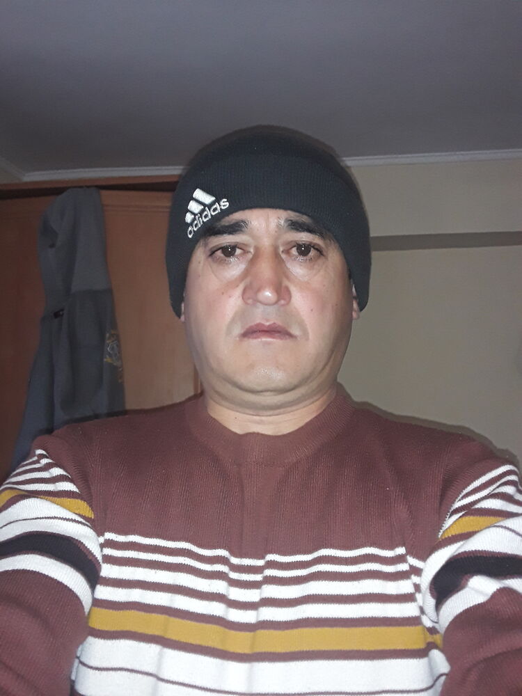  24959969   , 48 ,    