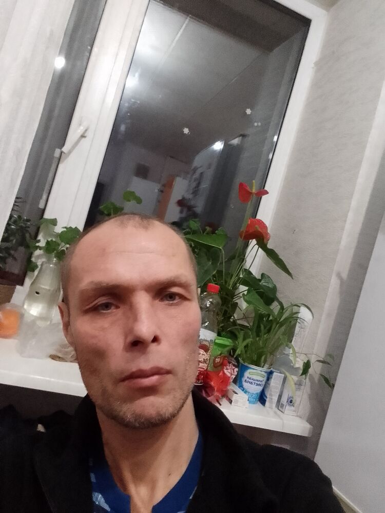  49564639  , 44 ,     
