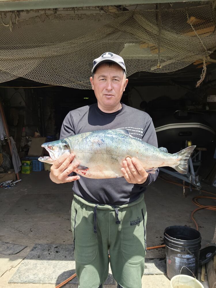 ���������� ������� ������, ���� ������� �������, 49 ���, ������������ ��� ������, ����� � ���������, c�������� ���������