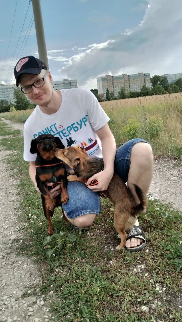 ���������� ��������, ���� ������� ������, 36 ���, ������������ ��� ������, ����� � ���������