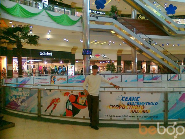 ���������� ���������, ���� ������� ARDAK, 36 ���, ������������ ��� ������, ����� � ���������, c�������� ���������