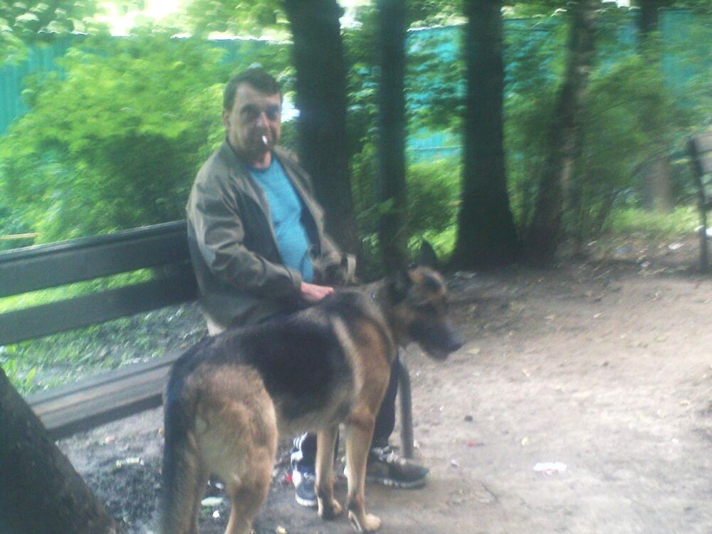 ���� 43377479 ������� ����, 61 ���, ���� ���������� � ������