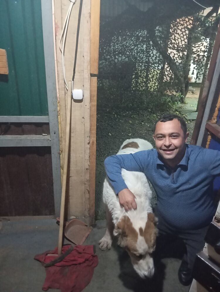  53971099  Arman, 35 ,    