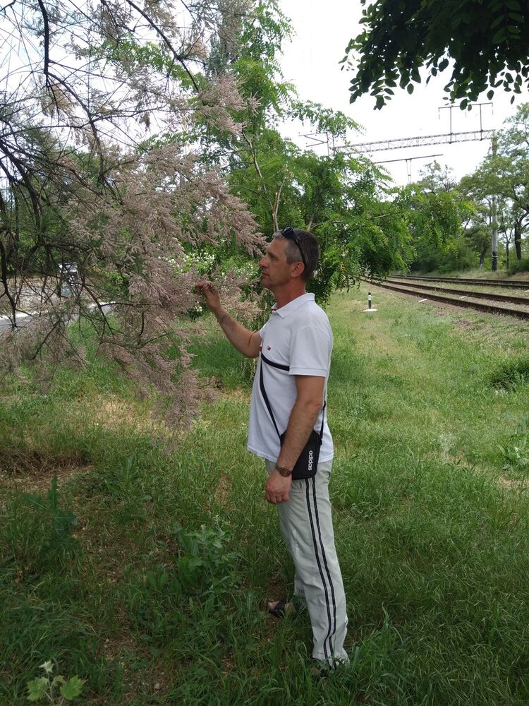 ���������� ���������, ���� ������� ������, 48 ���, ������������ ��� ������, ����� � ���������, c�������� ���������