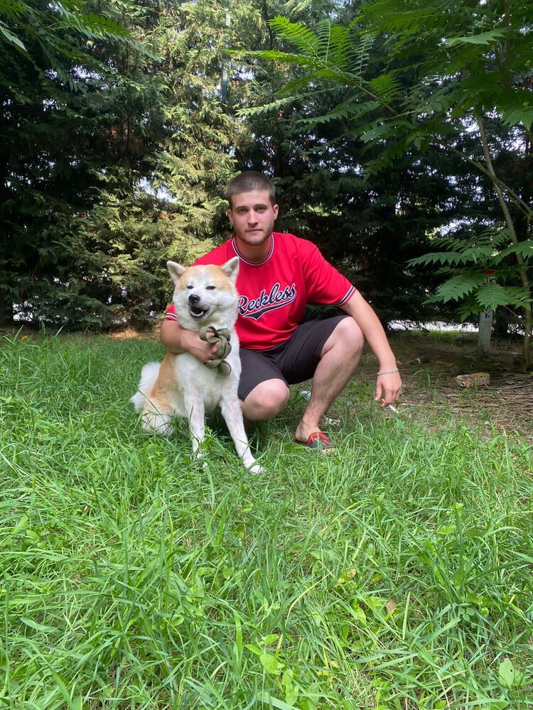 ���������� ����������, ���� ����� ����������, 24 ����, ������������ ��� ������, ����� � ���������, c�������� ���������