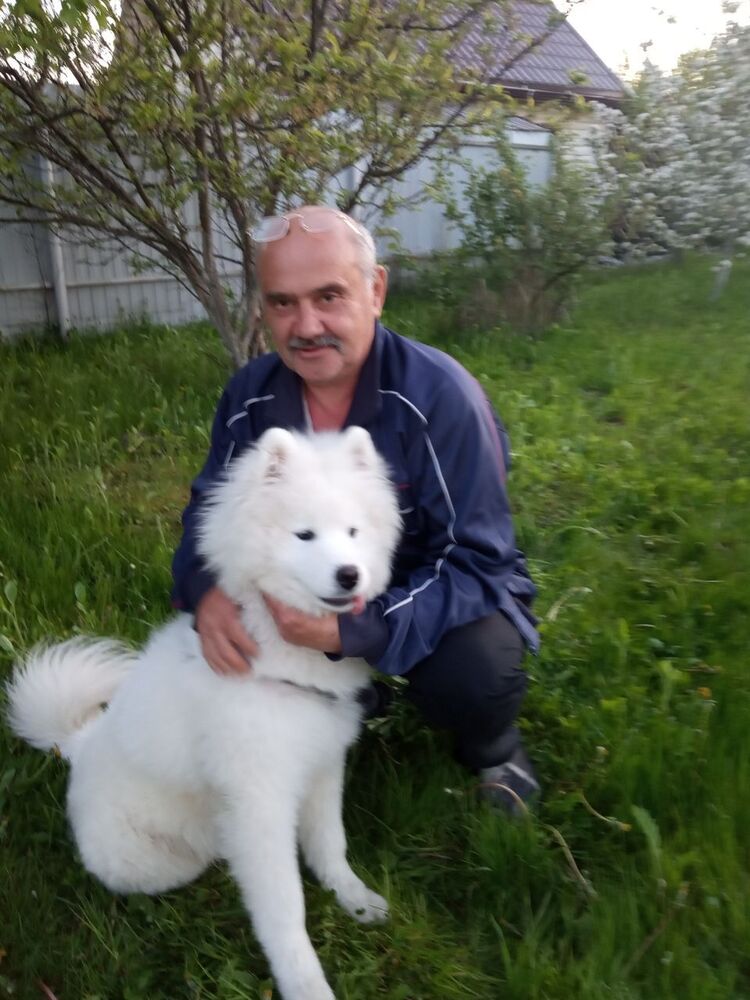 ���� 28459529 ������� �����, 62 ����, ���� ���������� � ����