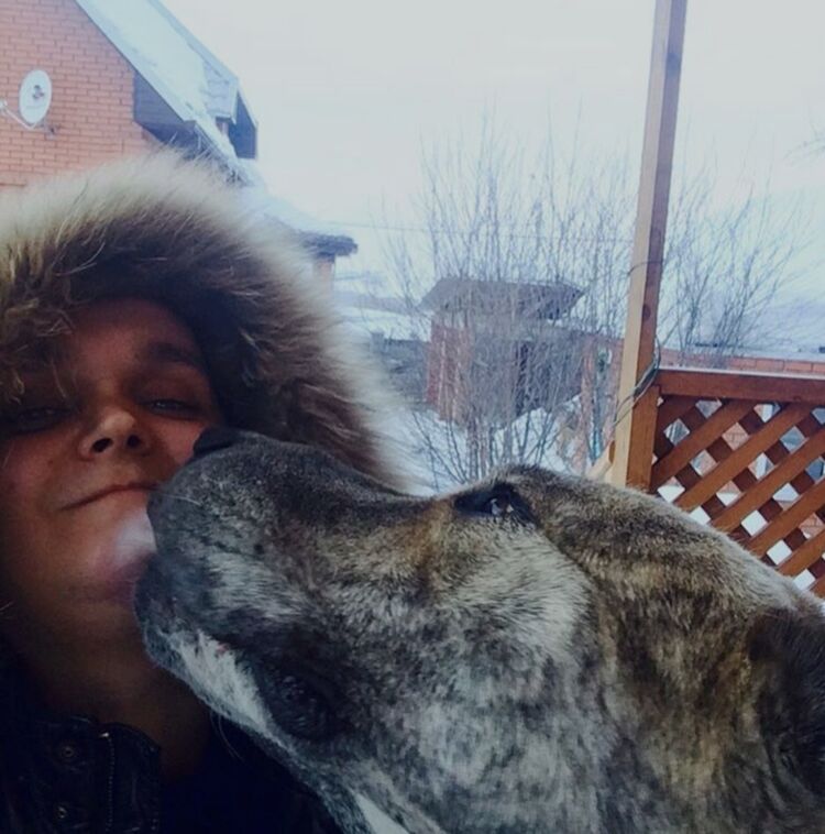 ���� 25338629 ������� �����, 35 ���, ���� ���������� � ������