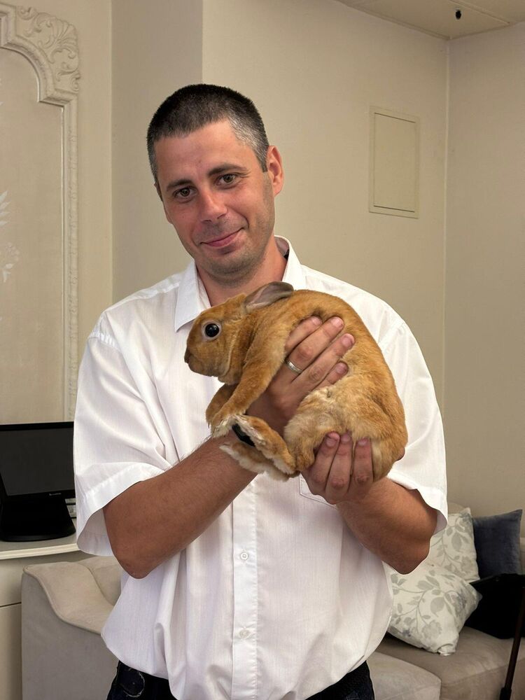 ���������� ��������, ���� ������� ����, 37 ���, ������������ ��� ������, ����� � ���������, c�������� ���������, ���������