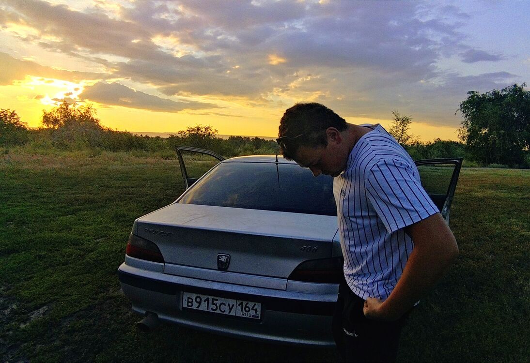 ���� 31391379 ����� �������, 24 ����, ���� ���������� � ��������