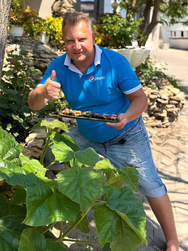 ���������� ����, ���� ������� ����, 43 ����, ������������ ��� ������, ����� � ���������, c�������� ���������, ���������