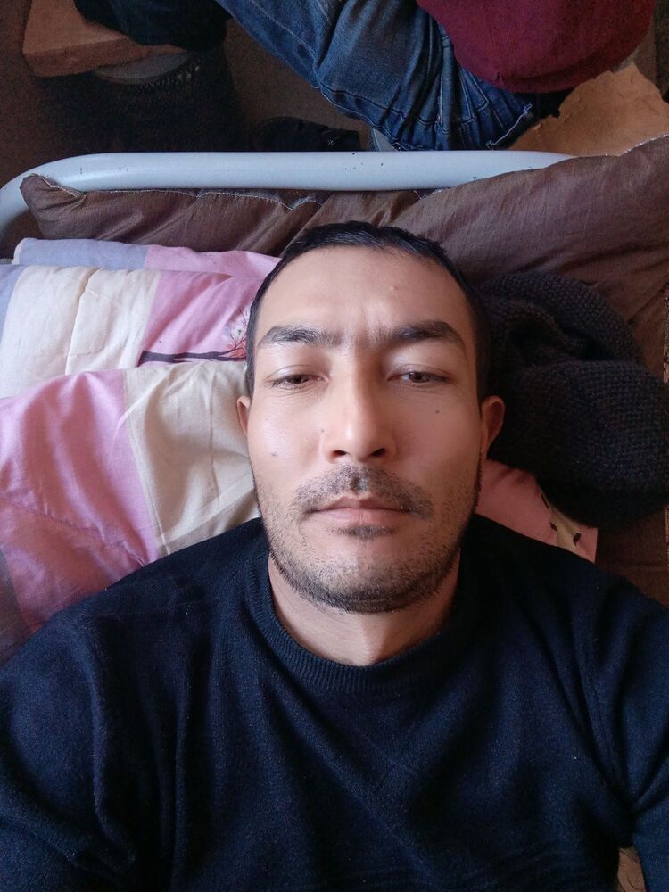 ���� 38198069 ������� Hamdam, 36 ���, ���� ���������� � ������