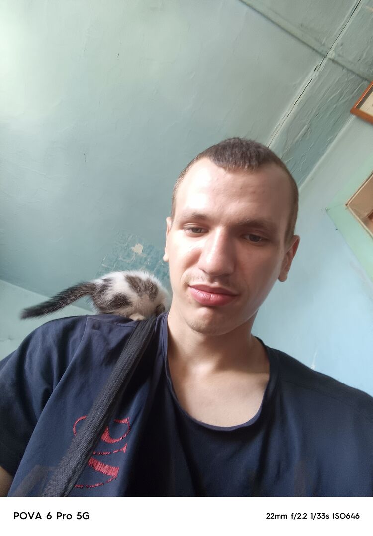  53718869  , 21 ,    