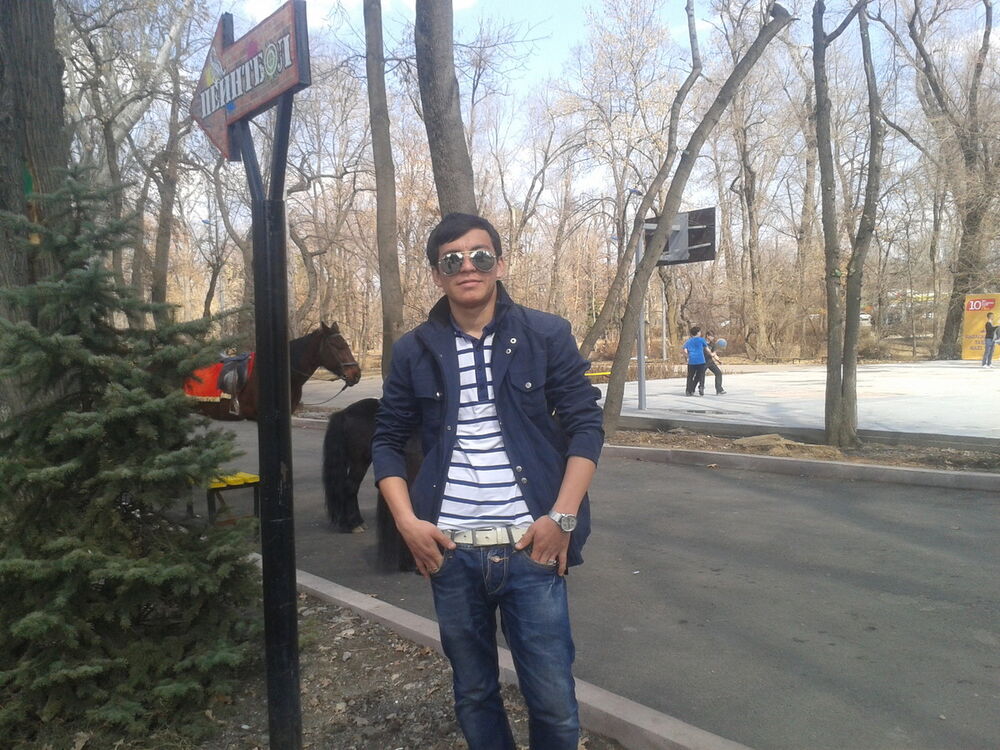 ���� 4210249 ������� Maga, 30 ���, ���� ���������� � ������