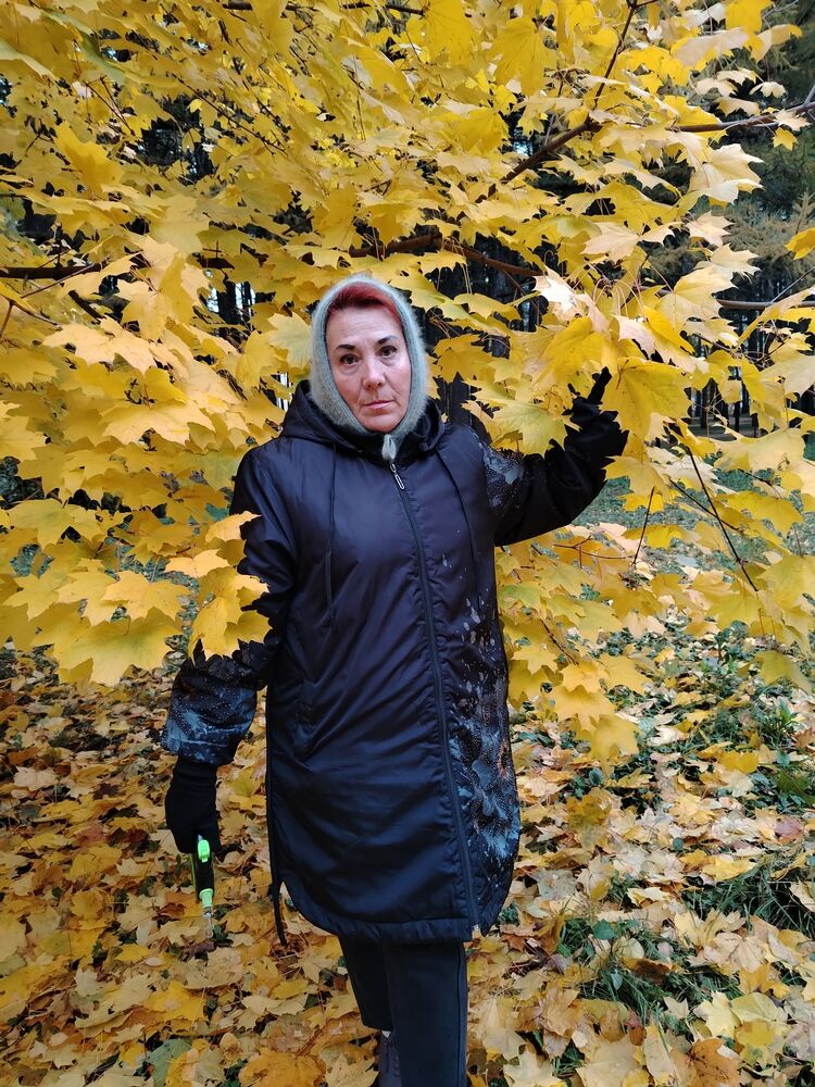 ���������� ������������, ���� ������� ����, 59 ���, ������������ ��� c�������� ���������, ���������