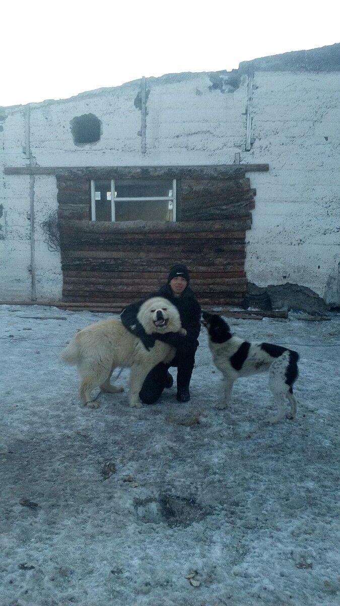  15927129  Maksim, 29 ,    