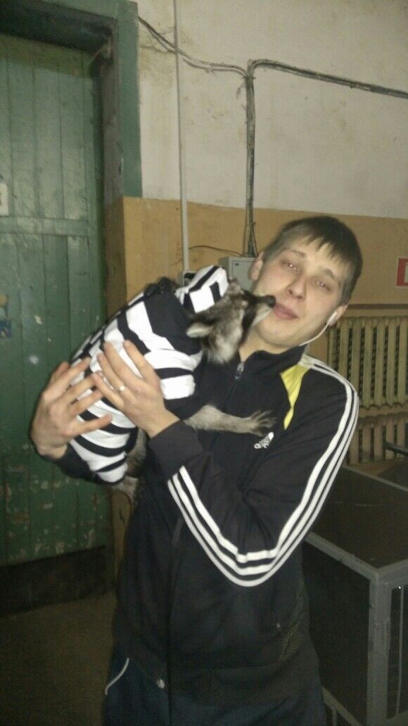  ,   Egor, 31 ,     , c 