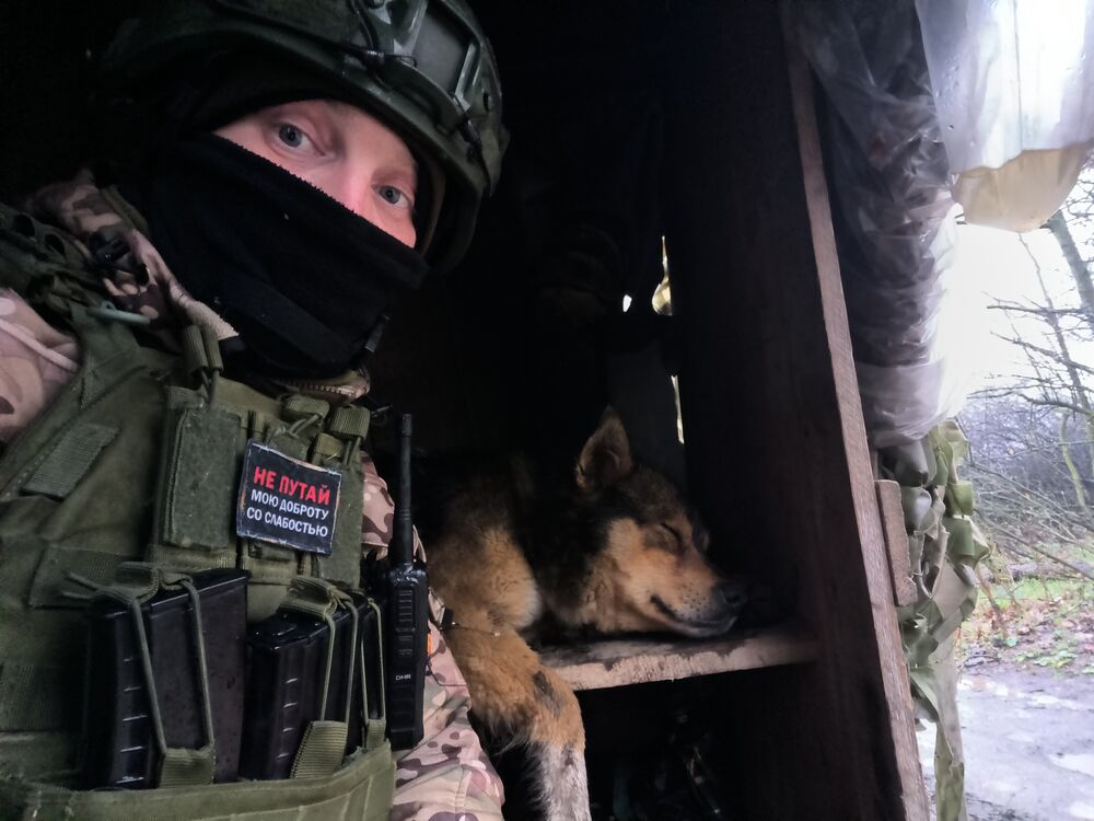  54265269  , 33 ,    -