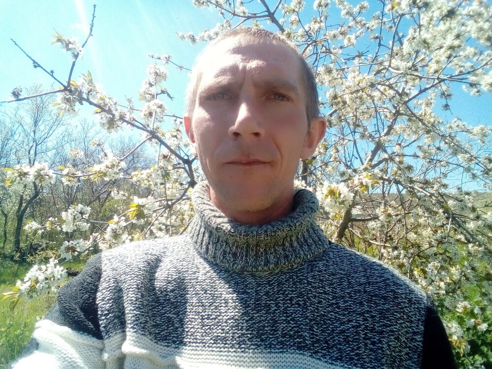 ���� 26196199 ������� ������, 32 ����, ���� ���������� � �����������