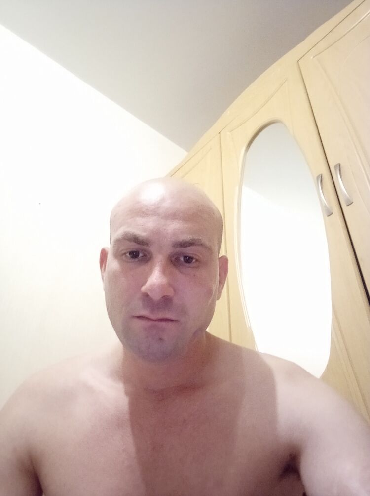  29189349  , 31 ,     