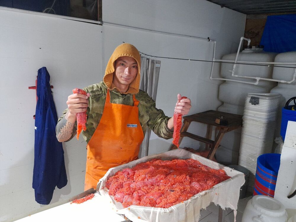 ���������� �������, ���� ������� ����, 33 ����, ������������ ��� ������, ����� � ���������, c�������� ���������, ���������