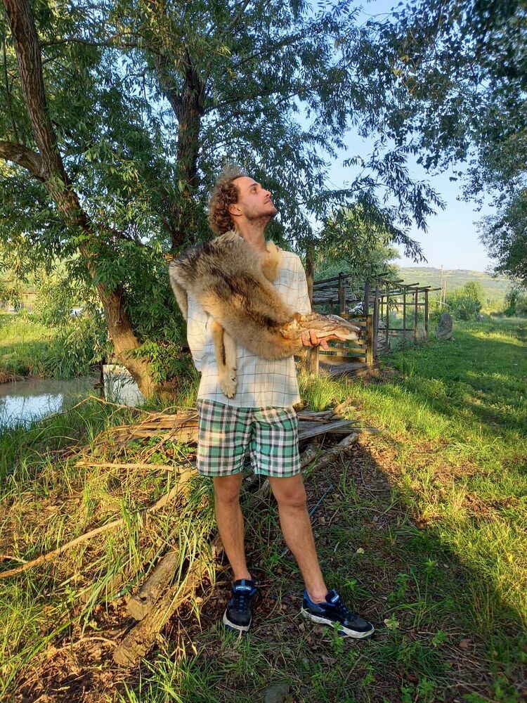 ���������� ���������, ���� ������� �������, 31 ���, ������������ ��� ������, ����� � ���������, c�������� ���������