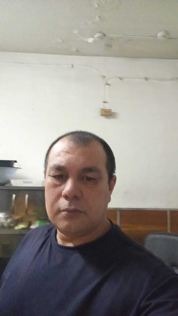  50632169  , 44 ,    