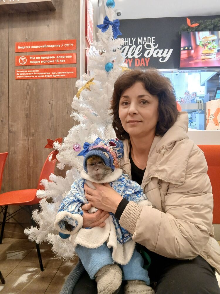 ���� 55231749 ������� �����, 51 ���, ���� ���������� � ������������