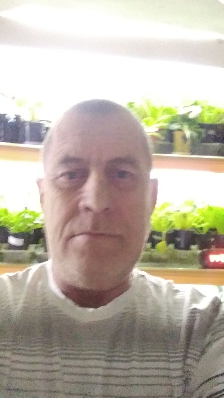 ���������� ��������, ���� ������� �����, 56 ���, ������������ ��� ������, ����� � ���������