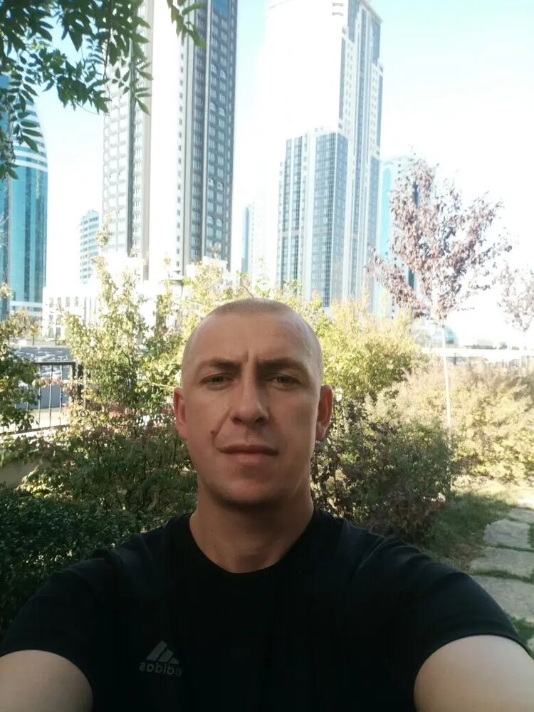  44439749  , 41 ,    