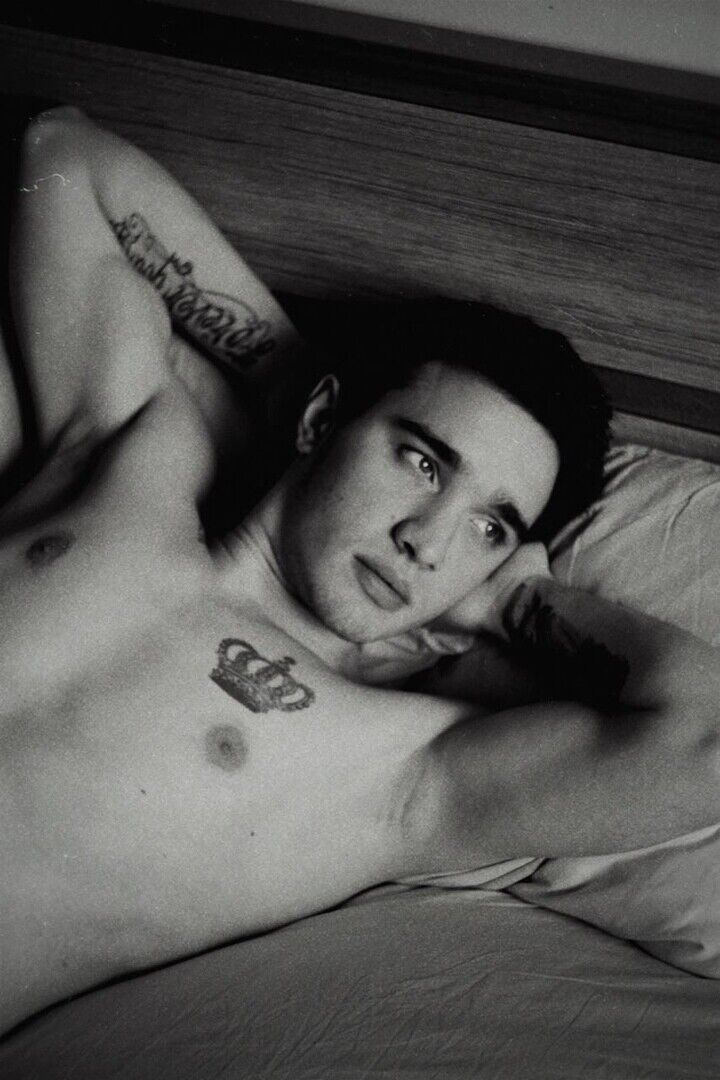 ���� 20365449 ������� Dontes, 28 ���, ���� ���������� � �������-��-����