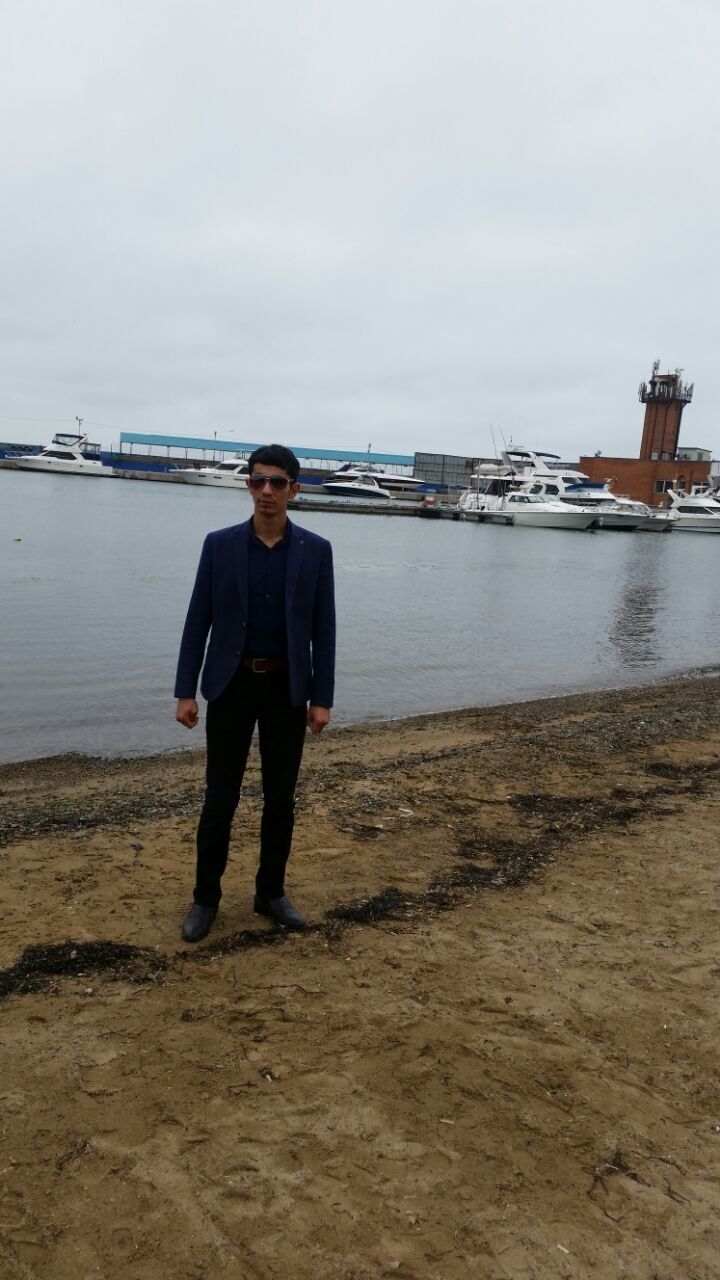  54149019  Avaz, 33 ,    