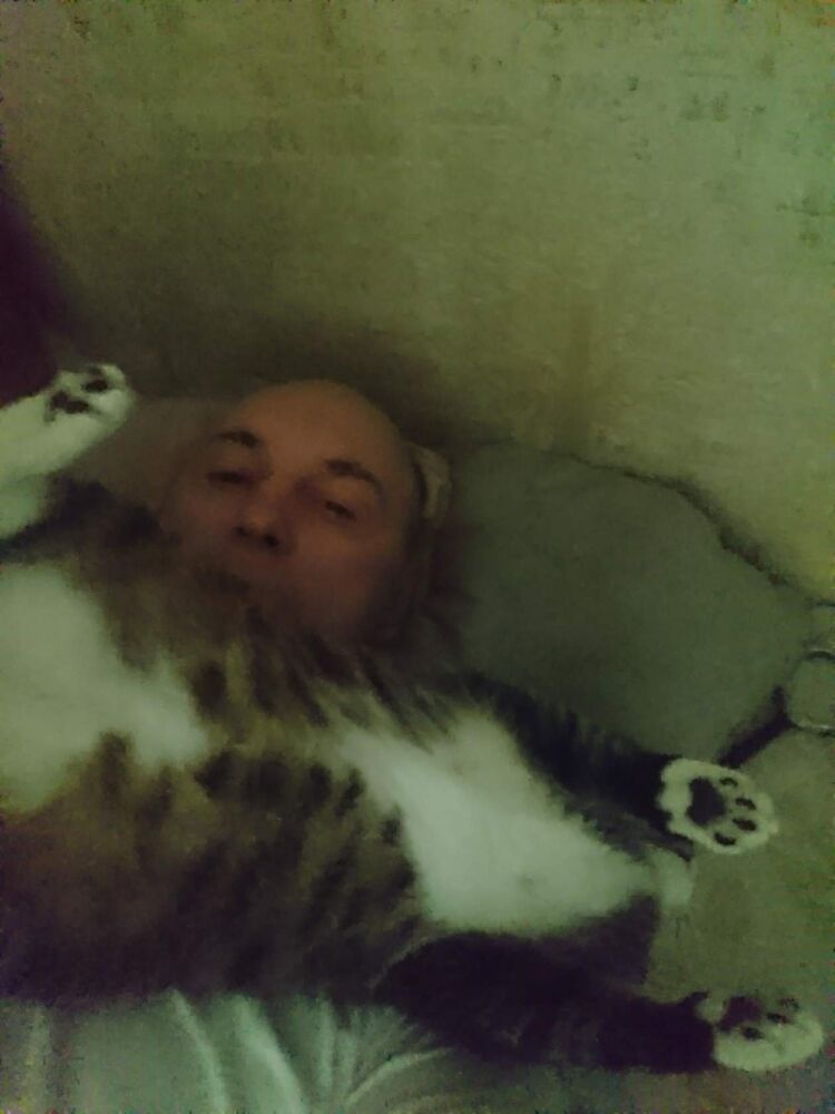  ,   , 51 ,   ,   