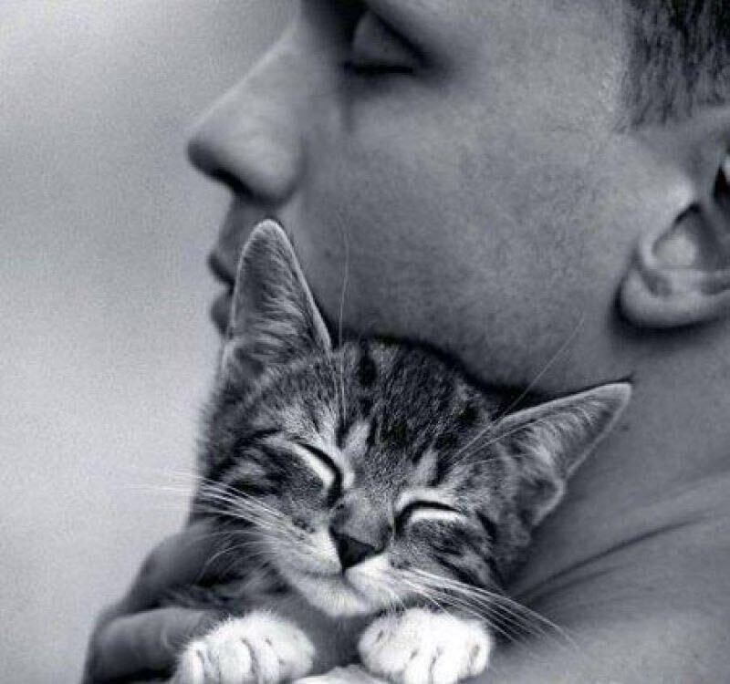 ���������� ������, ���� ������� �������, 40 ���, ������������ ��� ������, ����� � ���������, ���������