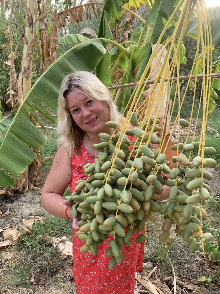  23714099  , 52 ,    -