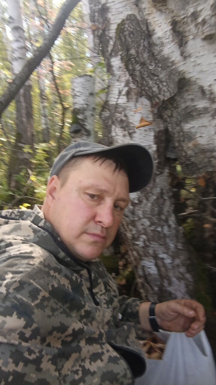 ���� 54901269 ������� �������, 32 ����, ���� ���������� � ��������