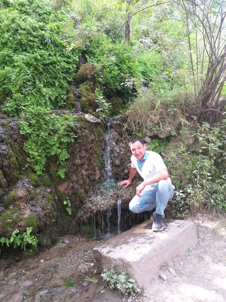 ���� 17816109 ������� �����, 33 ����, ���� ���������� � ���