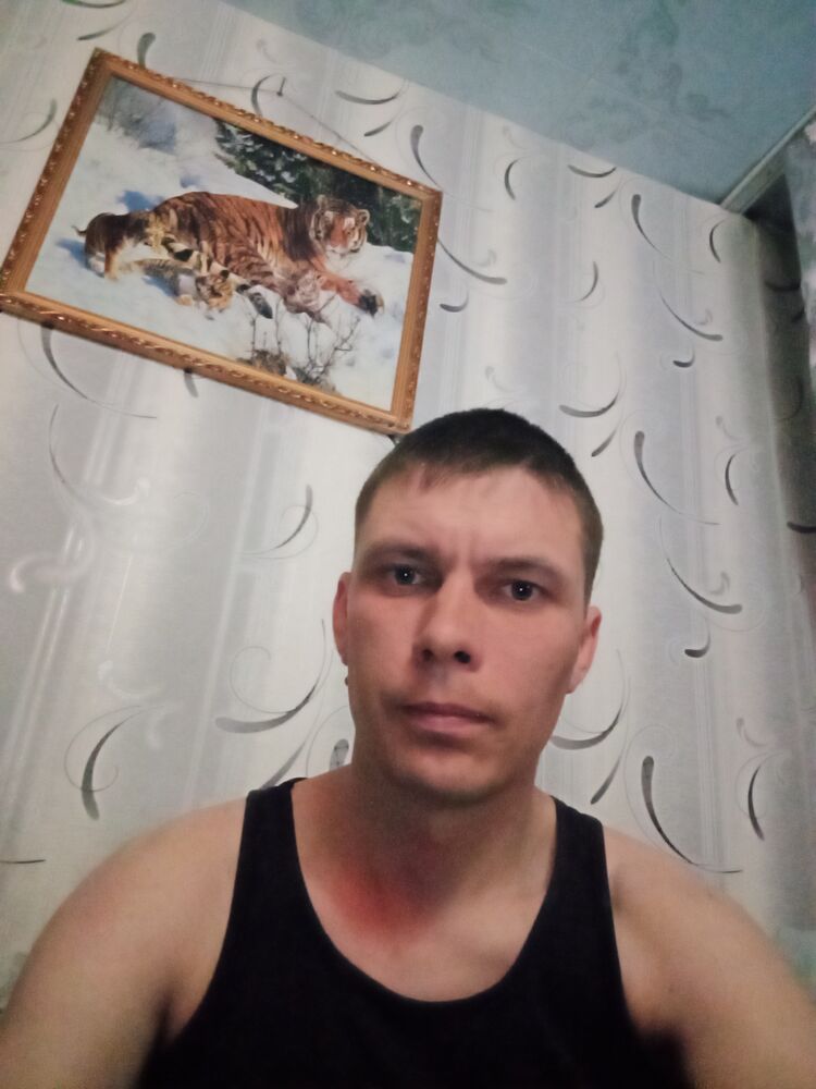  33808499  , 29 ,    