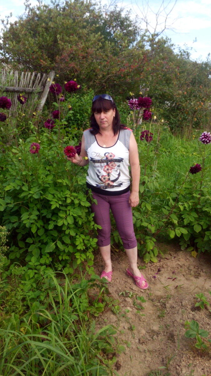   ,   , 58 ,   ,   , c 
