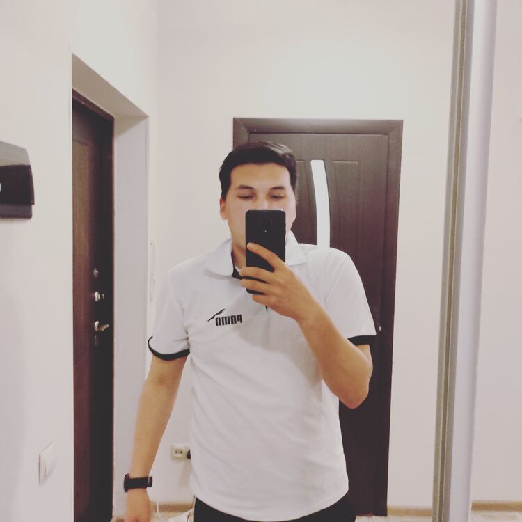  33977989  , 28 ,    
