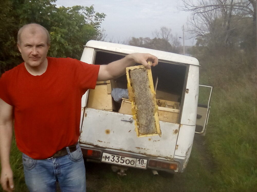 ���������� ����, ���� ������� ����, 54 ����, ������������ ��� ����� � ���������, c�������� ���������