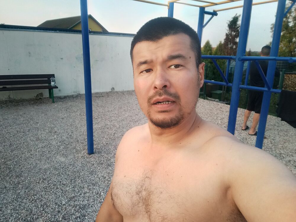  46205439  , 38 ,    
