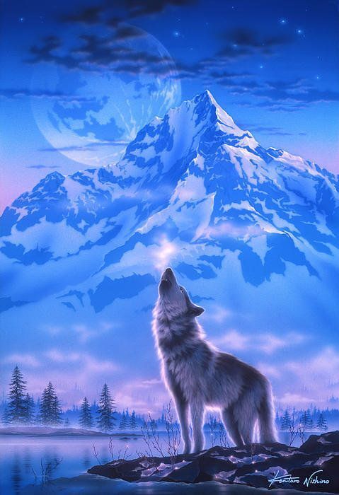 ���� 23654389 ������� ������, 38 ���, ���� ���������� � ��������