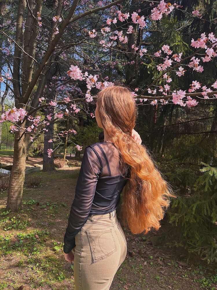 ���������� ������, ���� ������� ���������, 25 ���, ������������ ��� ������, ����� � ���������