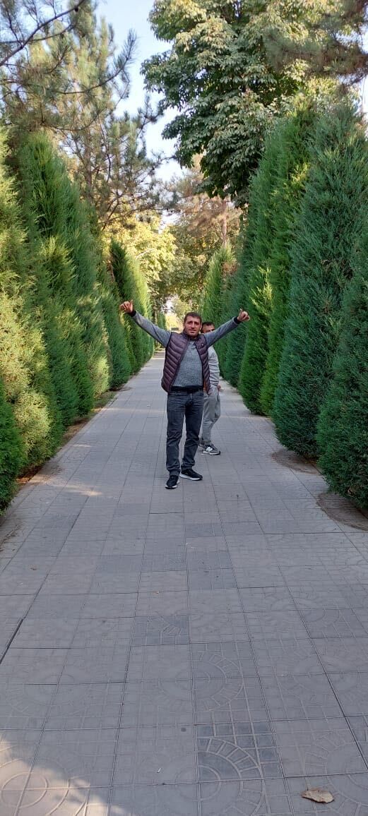 ���� 25295929 ������� ������, 40 ���, ���� ���������� � ��������