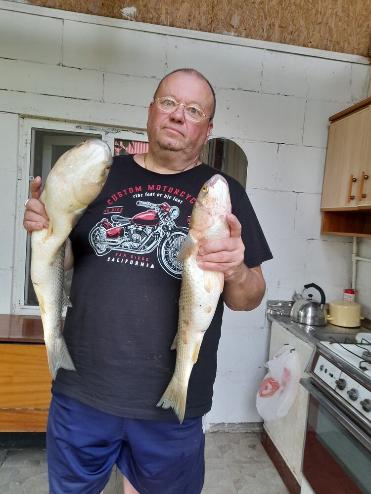 ���� 55523189 ������� ����, 59 ���, ���� ���������� � ������