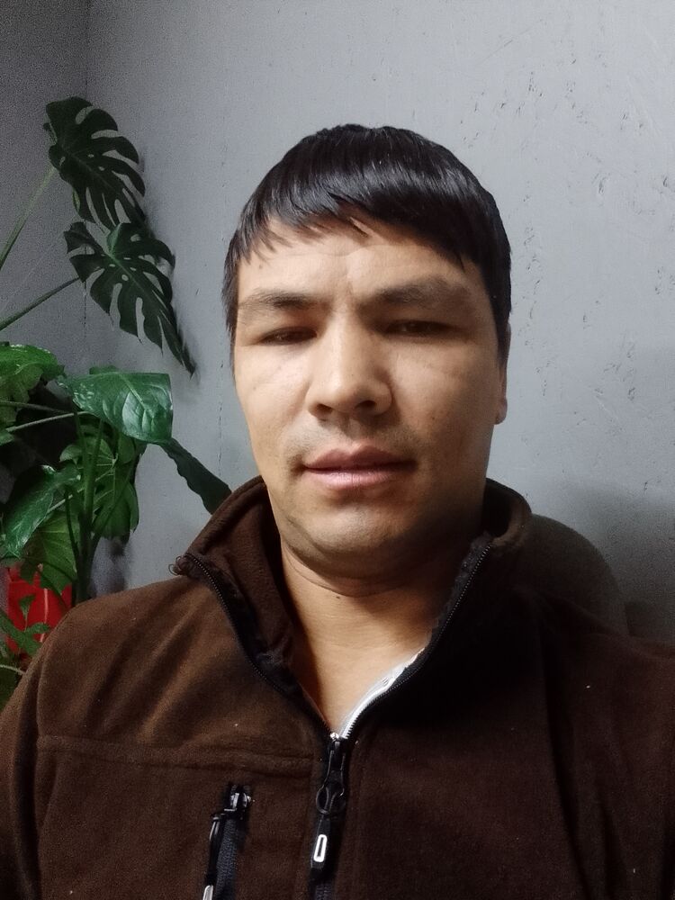 ���� 55864269 ������� Xamro, 37 ���, ���� ���������� � �����������