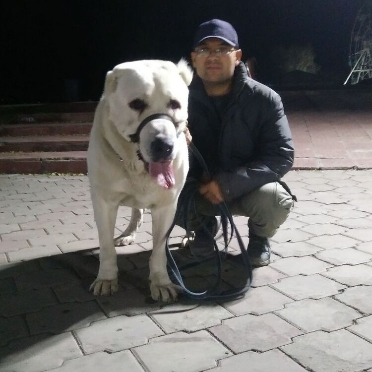  ,     , 46 ,     , c 